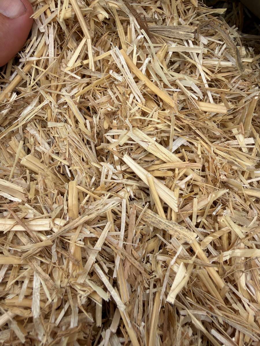 Batch 4990788000217699023 Image