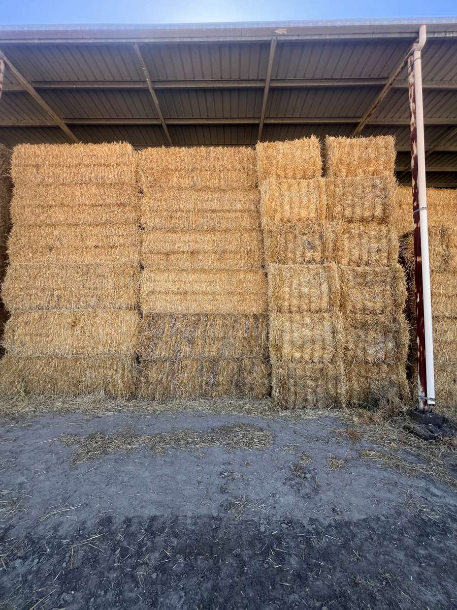 Batch 4990788000213204016 Image