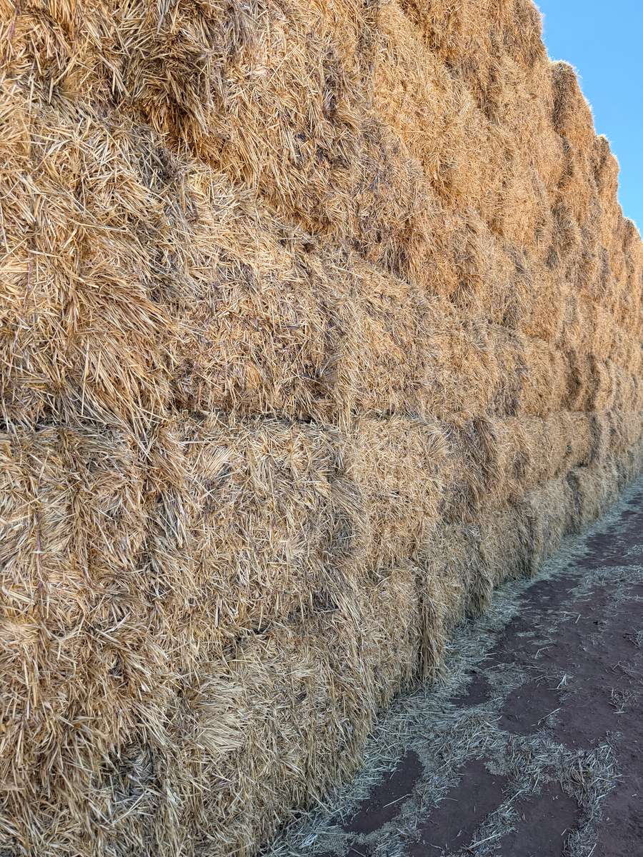 Batch 4990788000215347001 Image