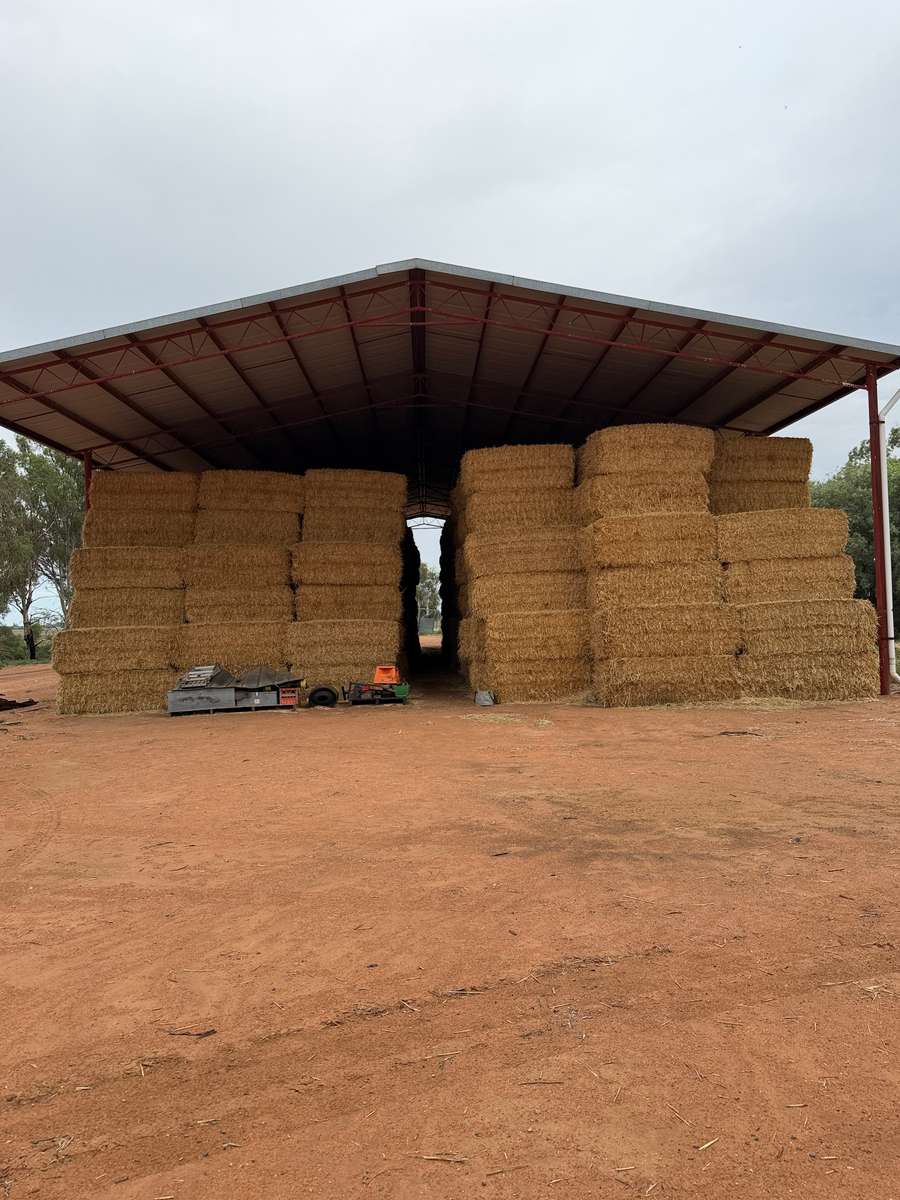 Batch 4990788000217869001 Image