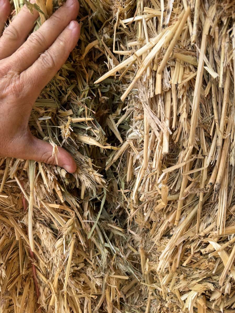 Batch 4990788000215143001 Image