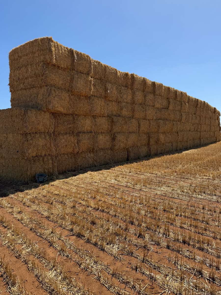 Batch 4990788000215258001 Image