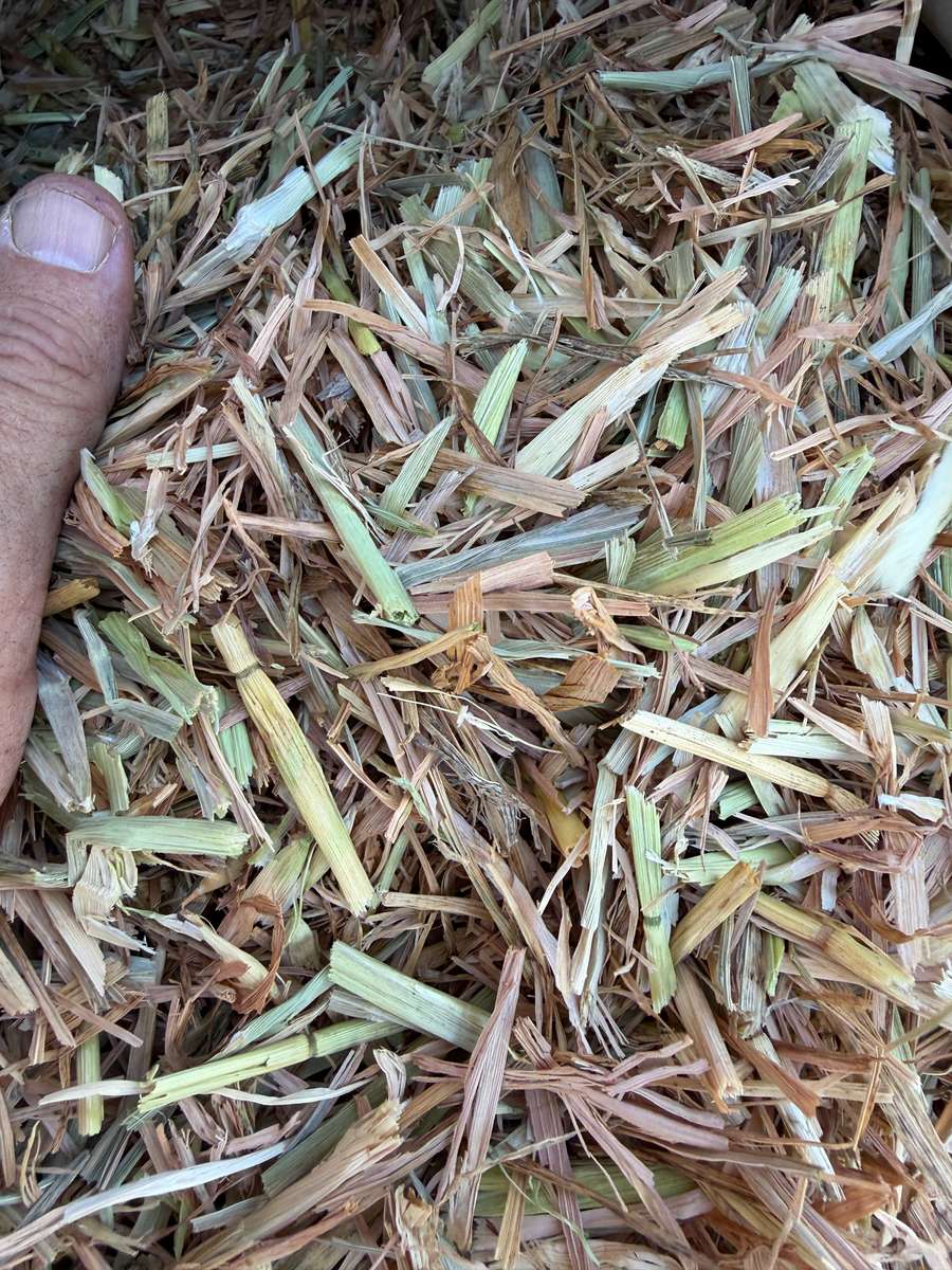 Batch 4990788000215398001 Image