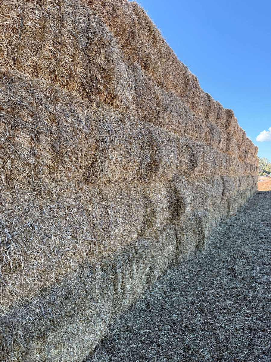 Batch 4990788000218149001 Image