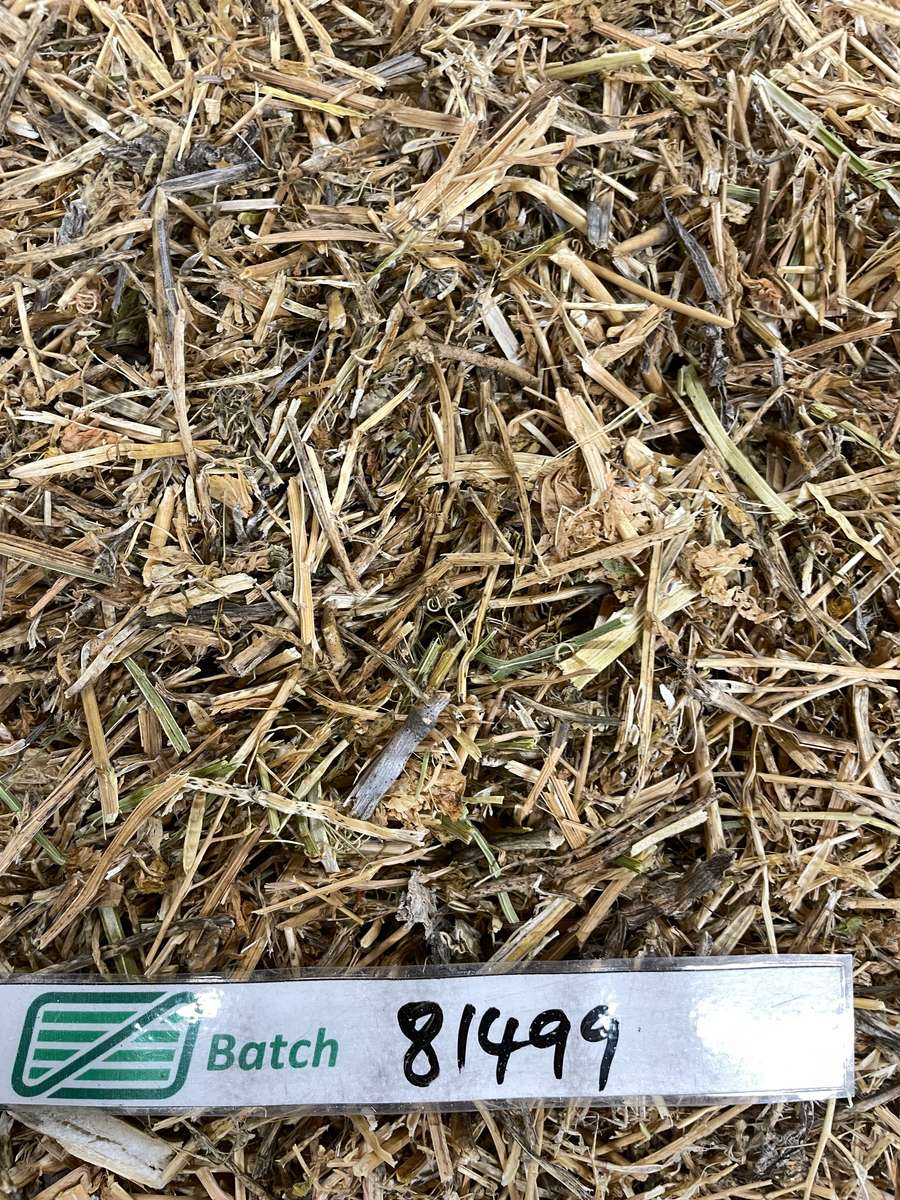 Batch 4990788000215057061 Image