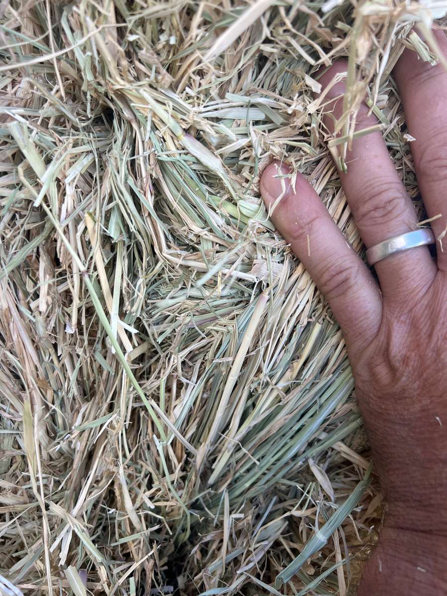 Batch 4990788000215473004 Image