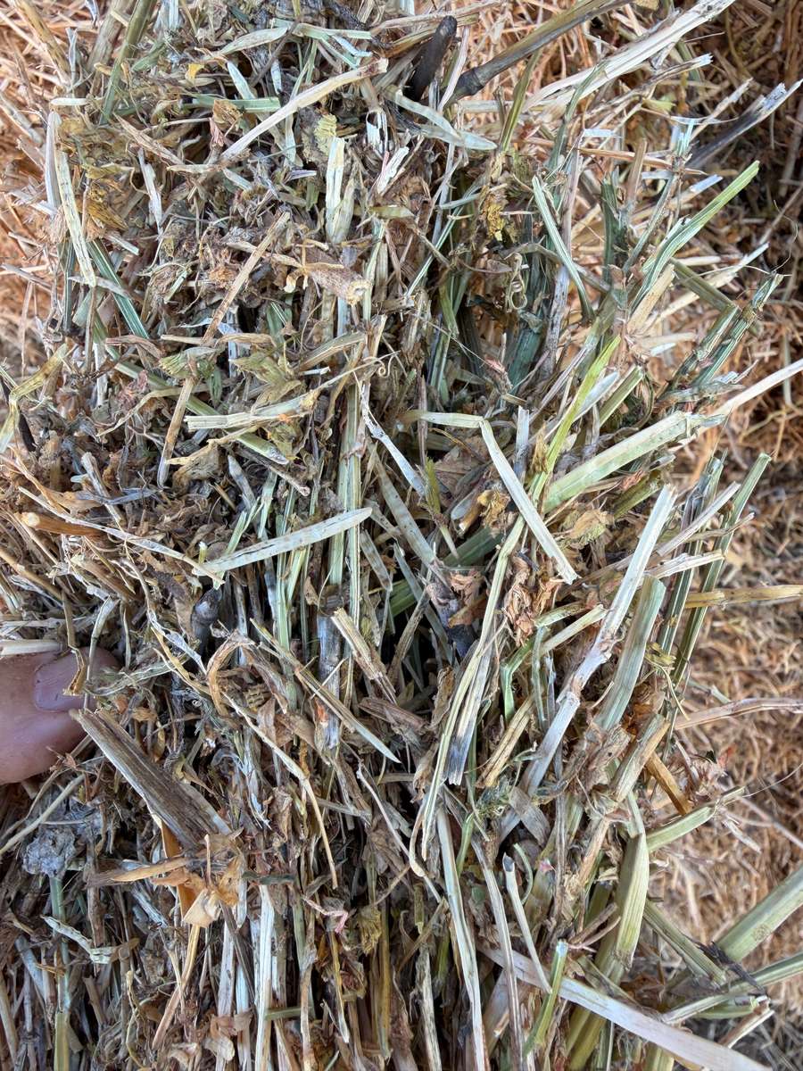 Batch 4990788000215057061 Image