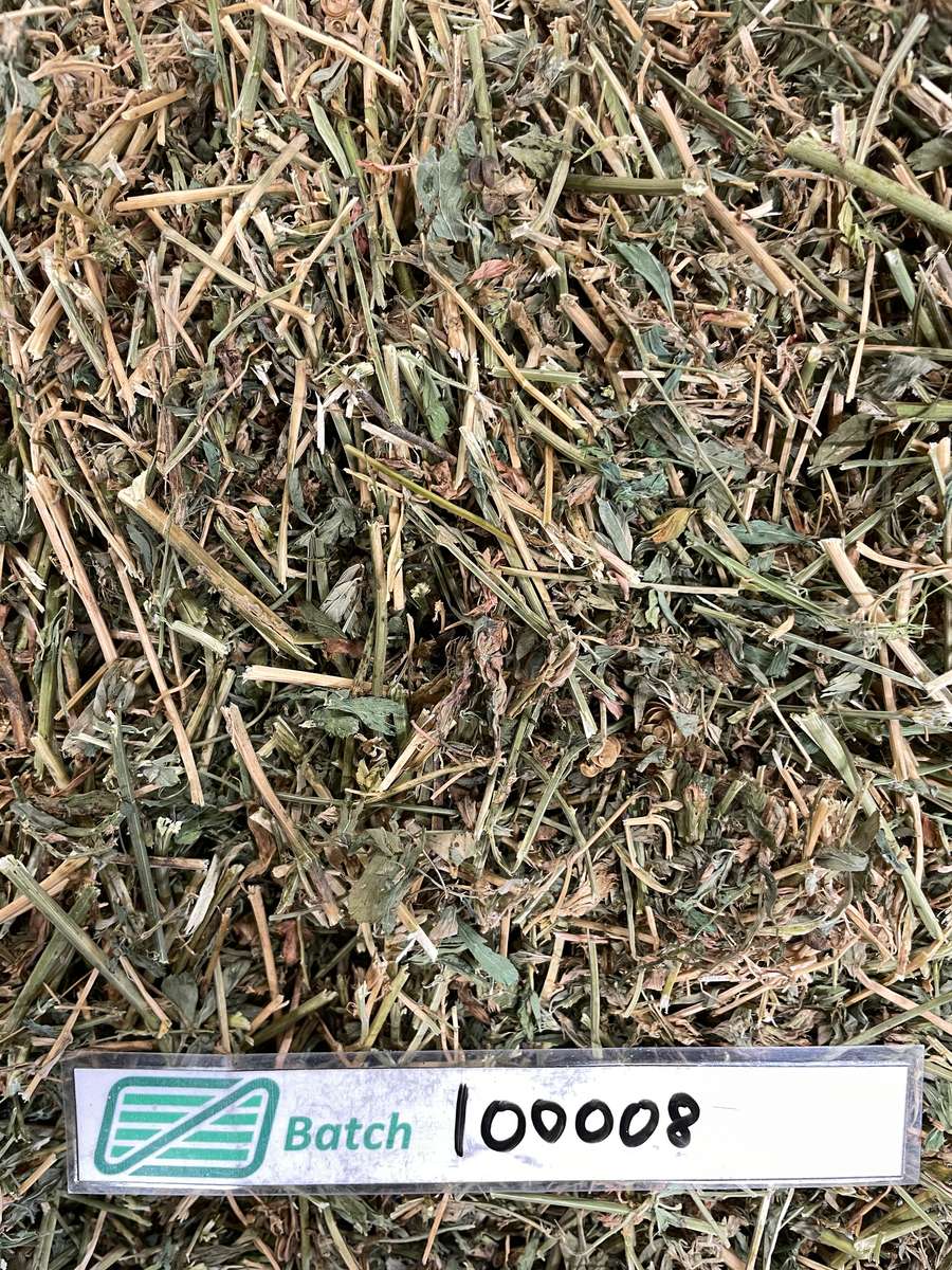 Batch 4990788000216783001 Image