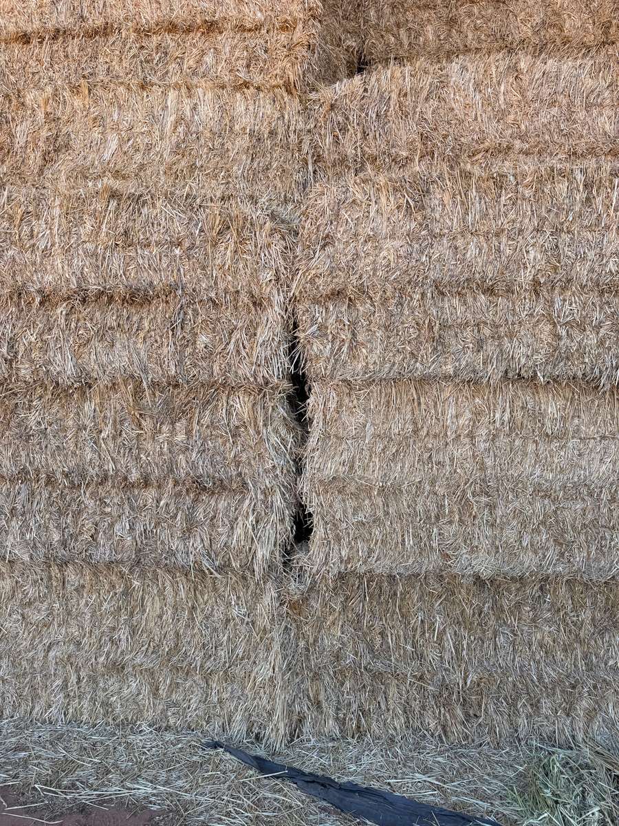 Batch 4990788000215262001 Image