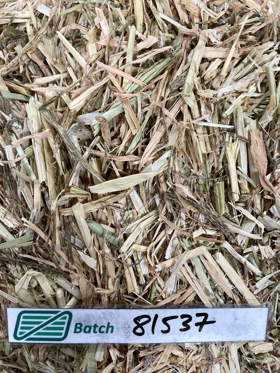 Batch 4990788000215654001 Image