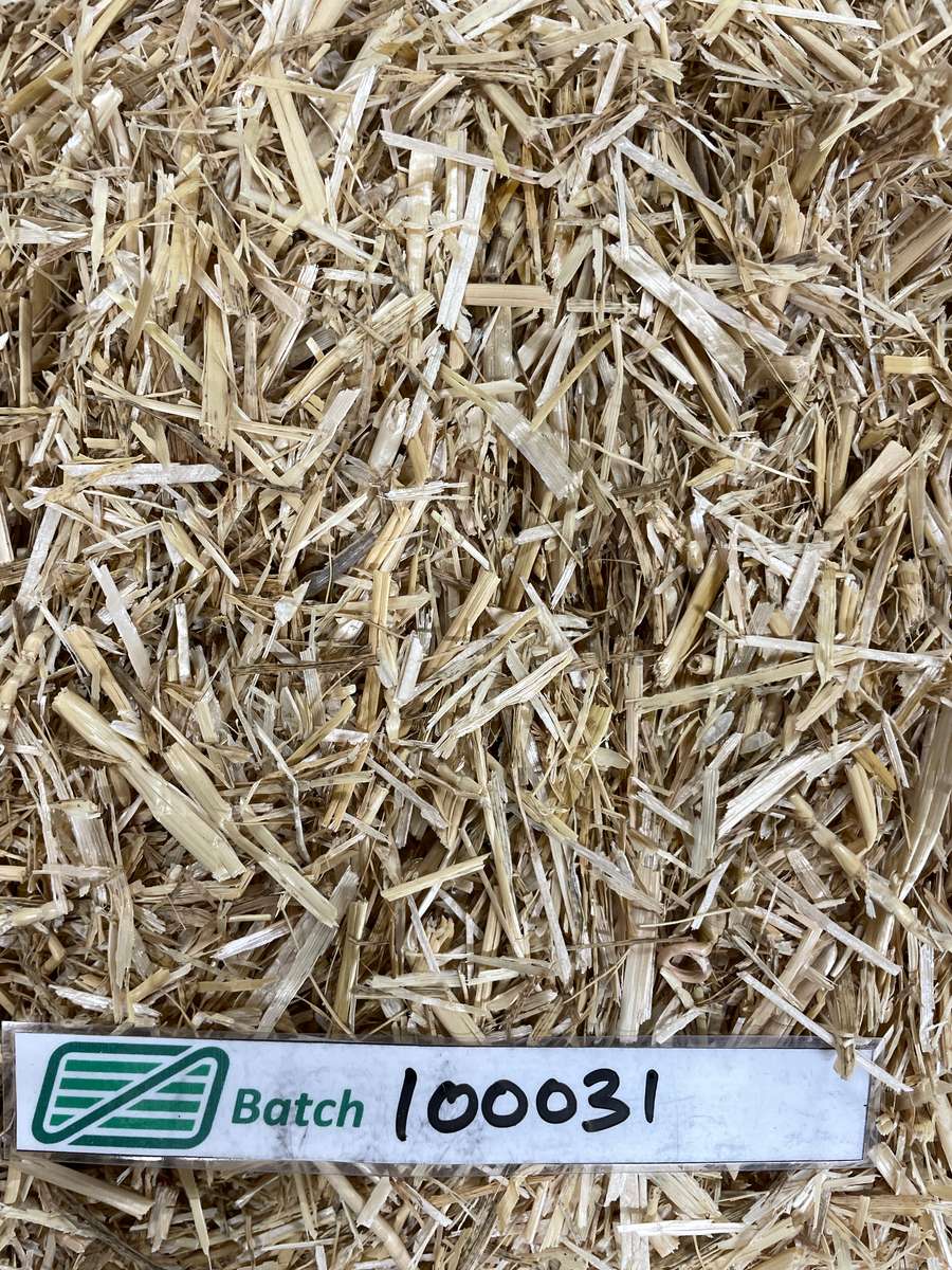 Batch 4990788000217774001 Image