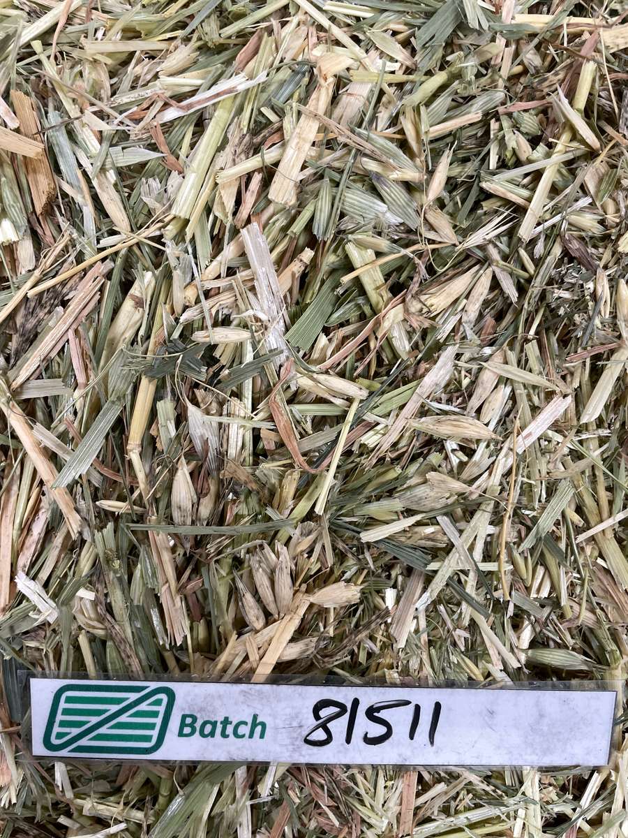 Batch 4990788000215262001 Image