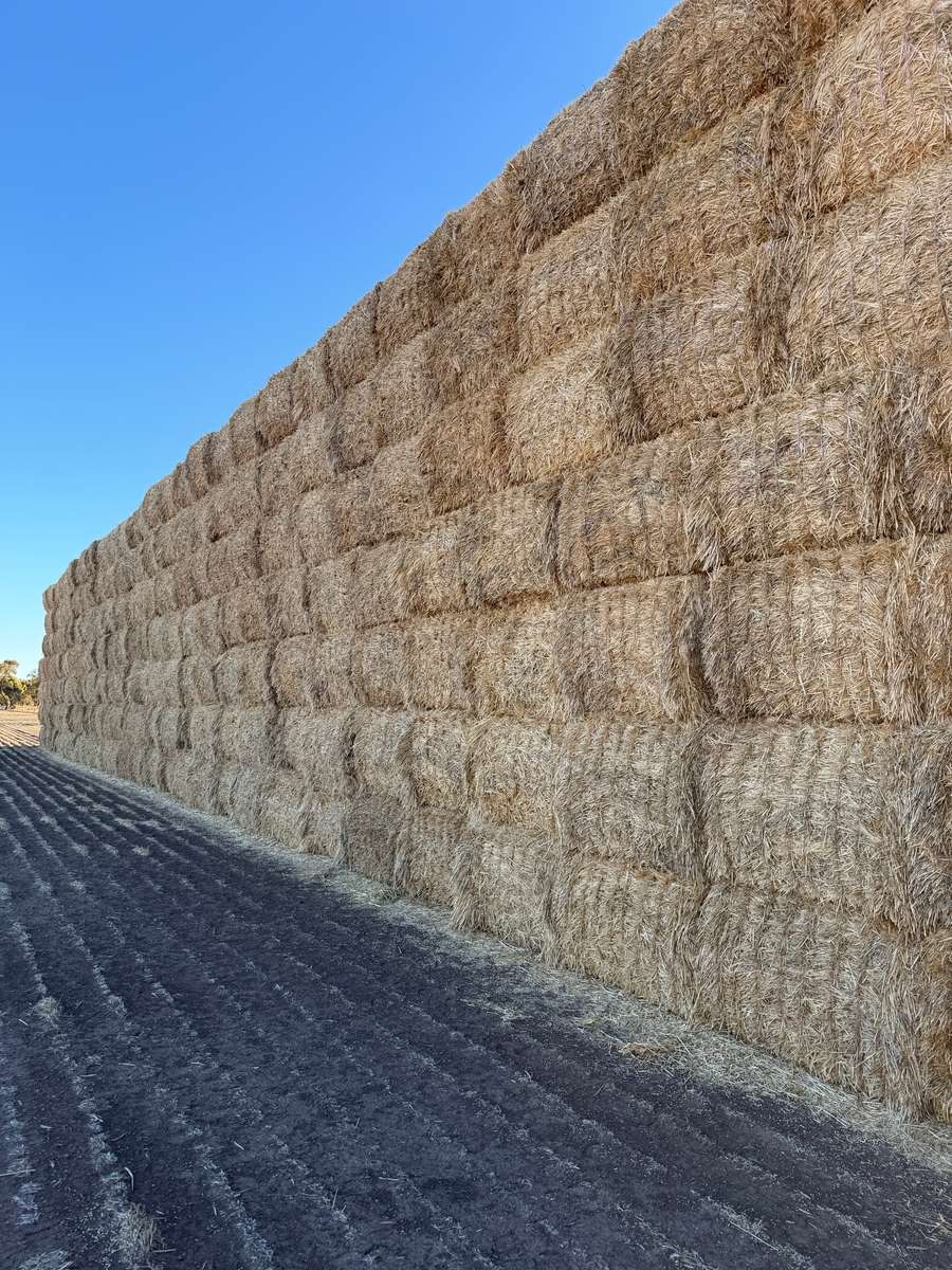 Batch 4990788000215479001 Image