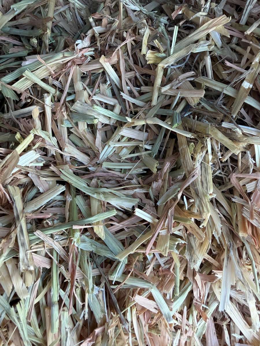 Batch 4990788000215687004 Image