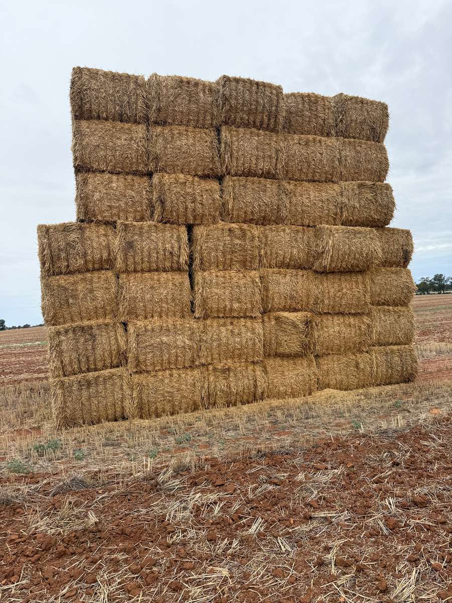 Batch 4990788000217699023 Image