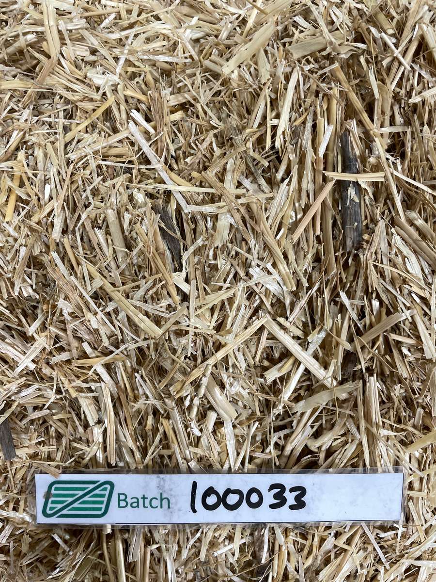 Batch 4990788000217732039 Image