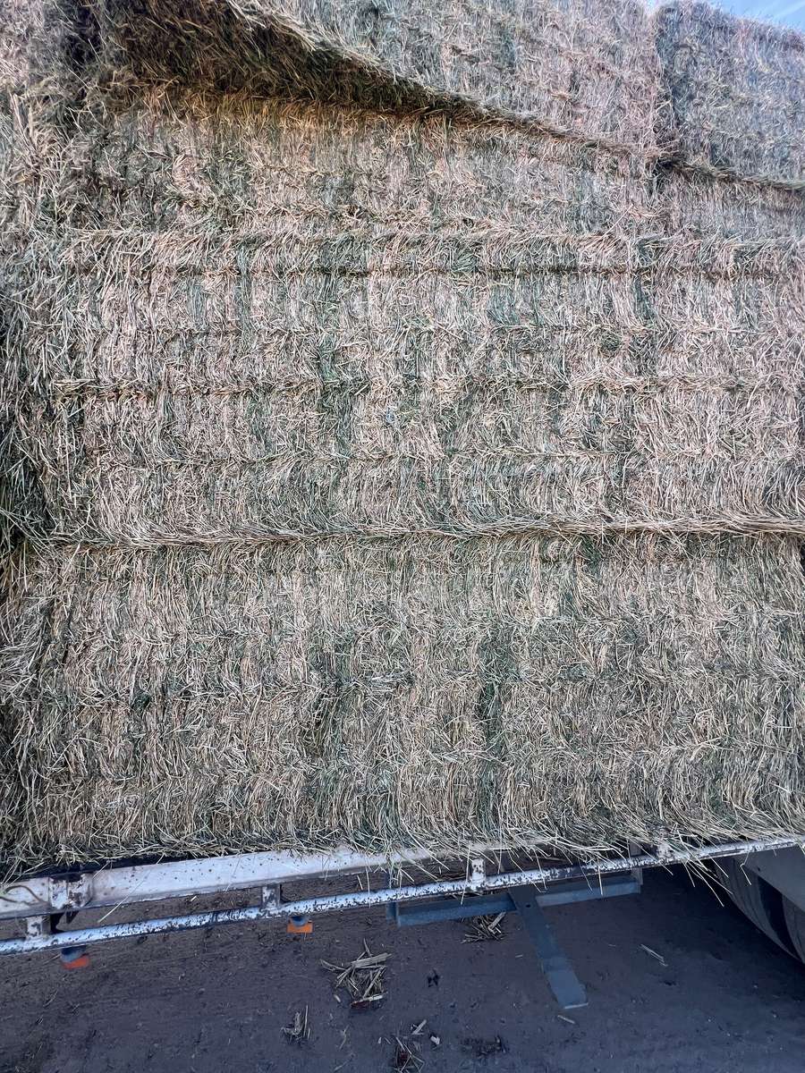 Batch 4990788000217642001 Image