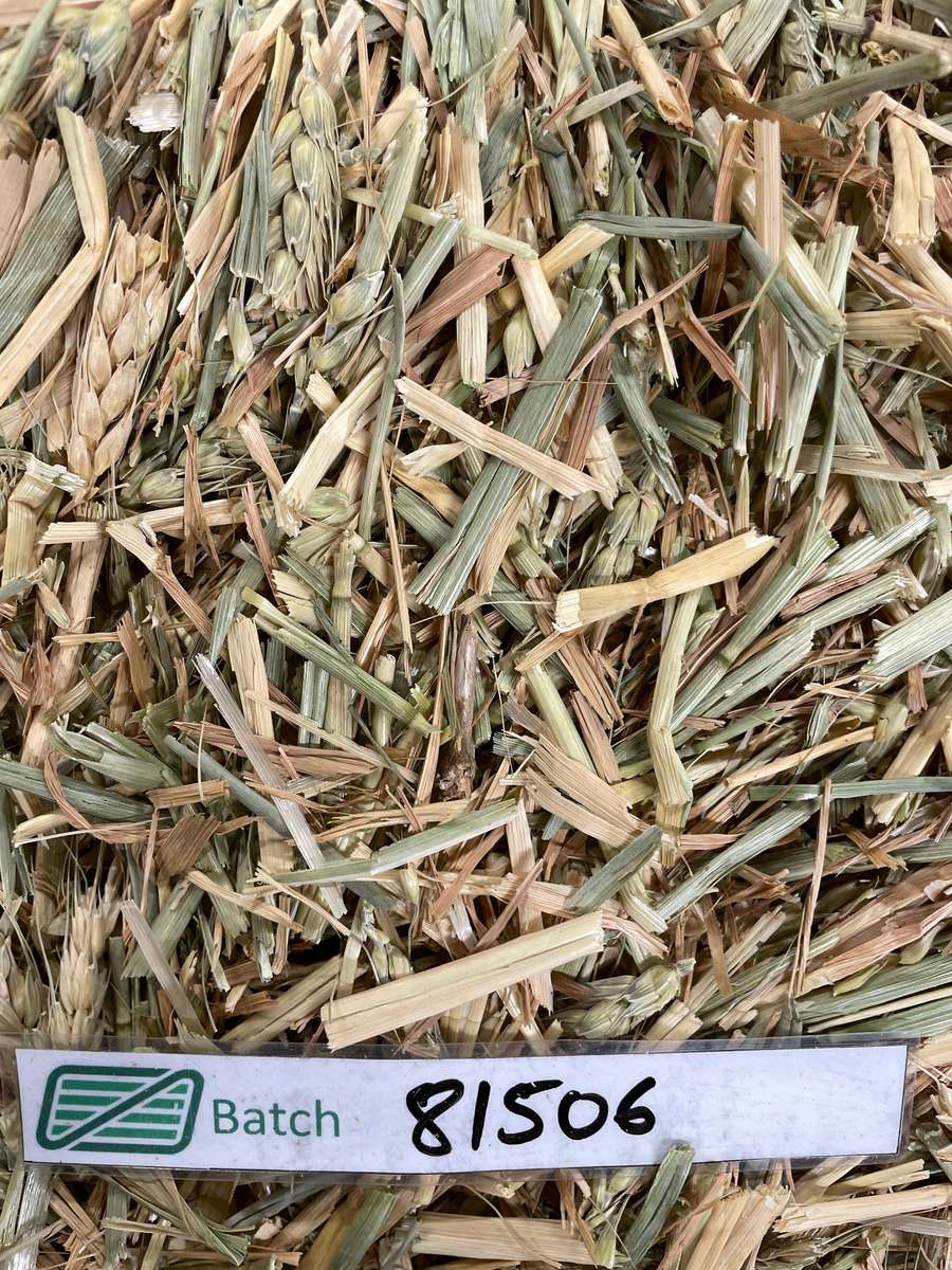 Batch 4990788000215068033 Image