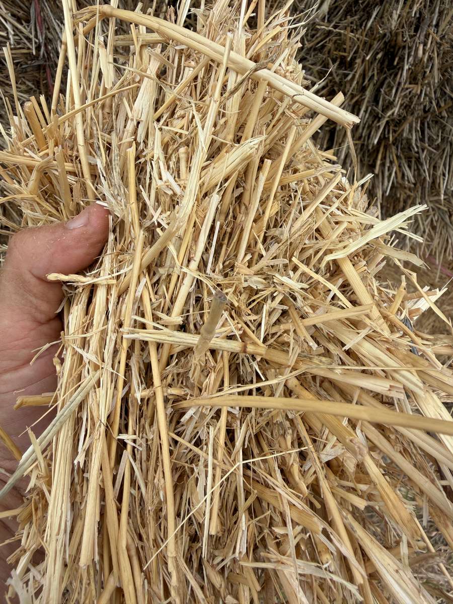 Batch 4990788000217779001 Image