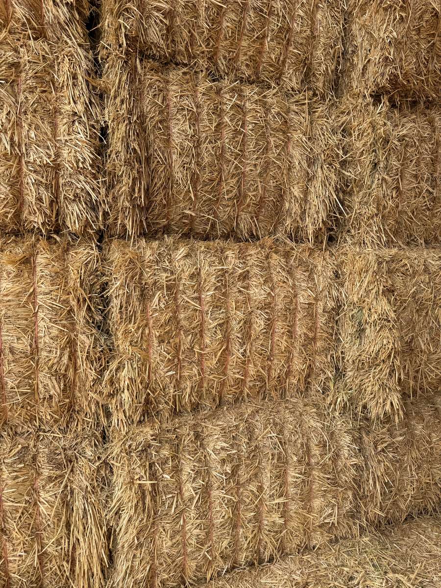 Batch 4990788000215143001 Image