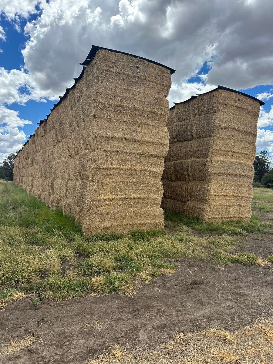 Batch 4990788000212140047 Image