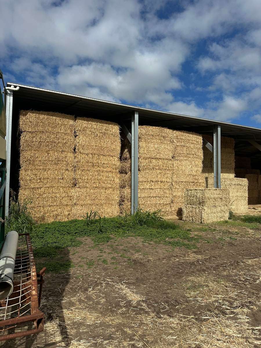 Batch 4990788000216898001 Image