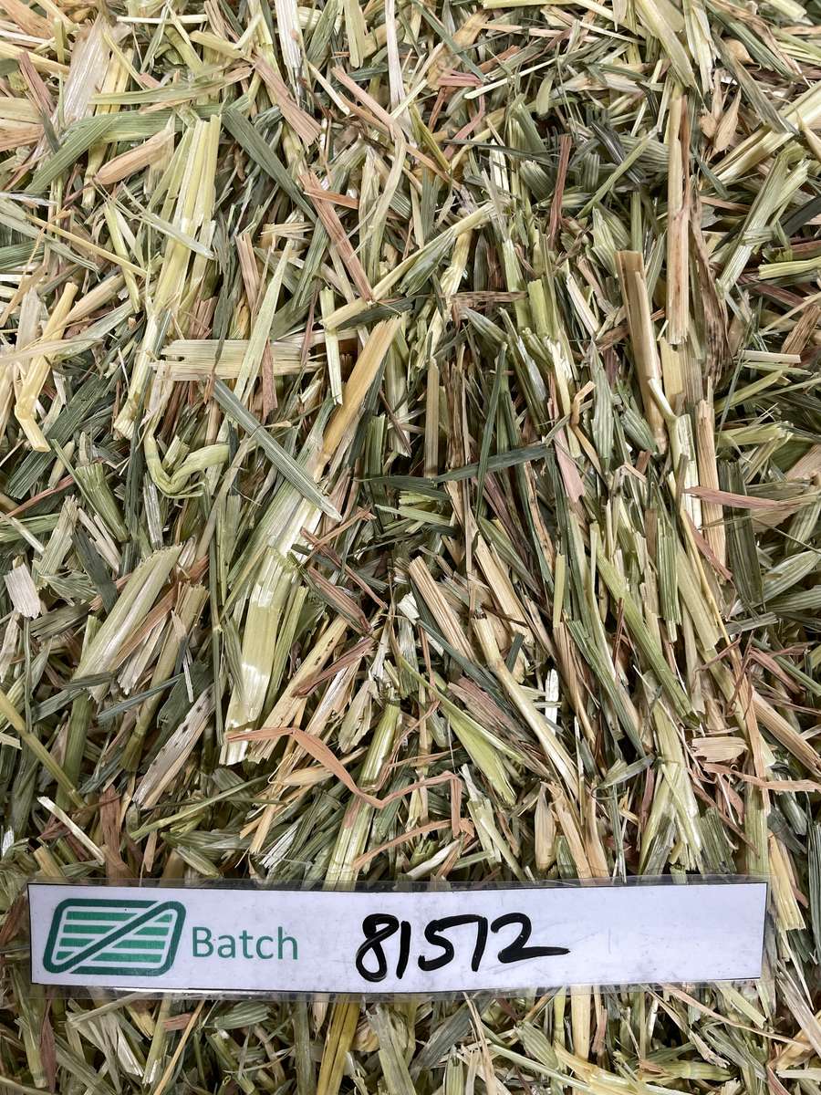 Batch 4990788000215270001 Image