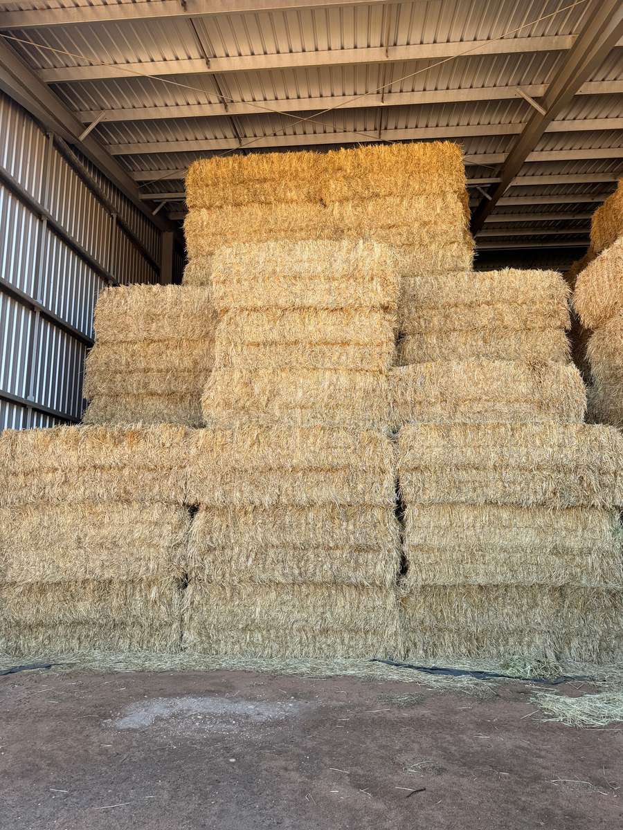 Batch 4990788000215262001 Image