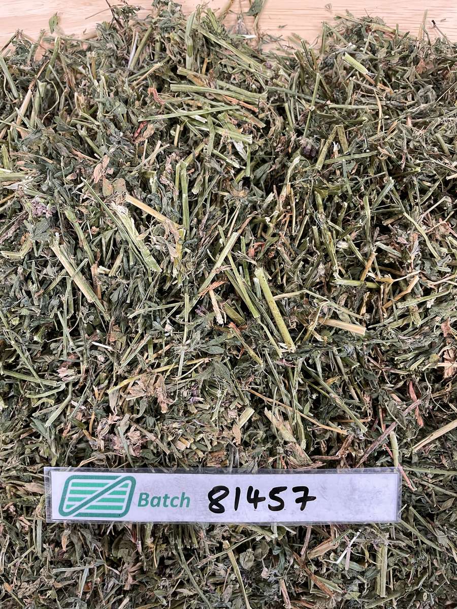 Batch 4990788000213186003 Image