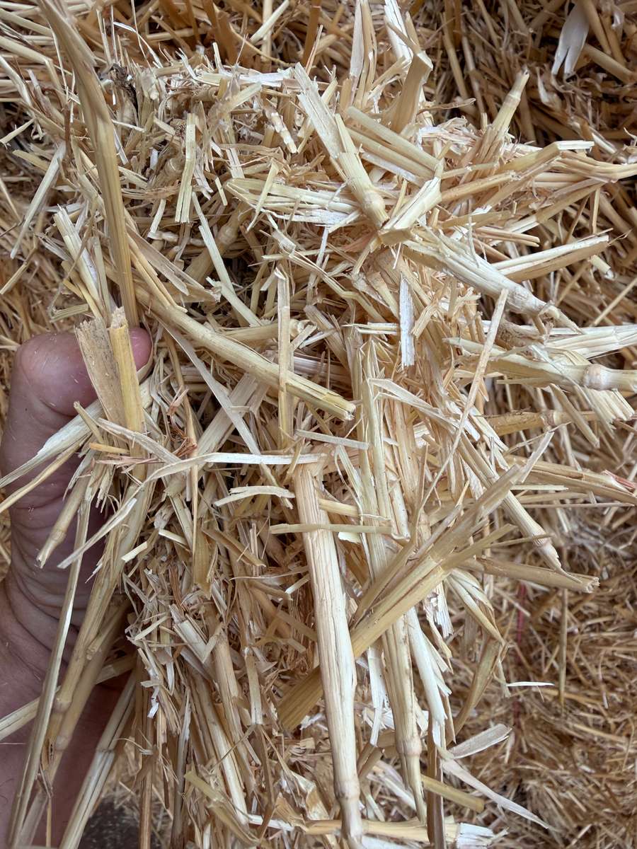 Batch 4990788000217869001 Image