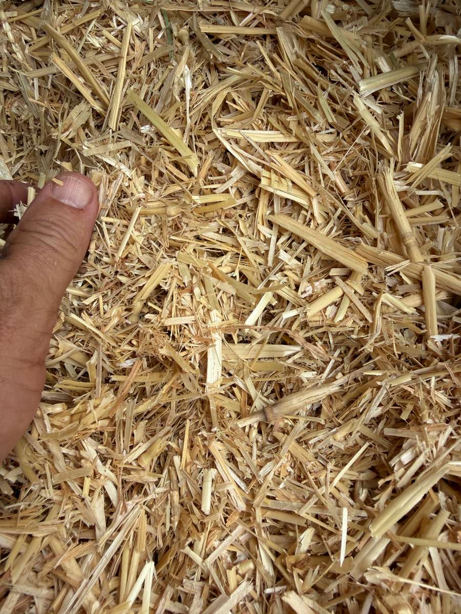 Batch 4990788000217869001 Image