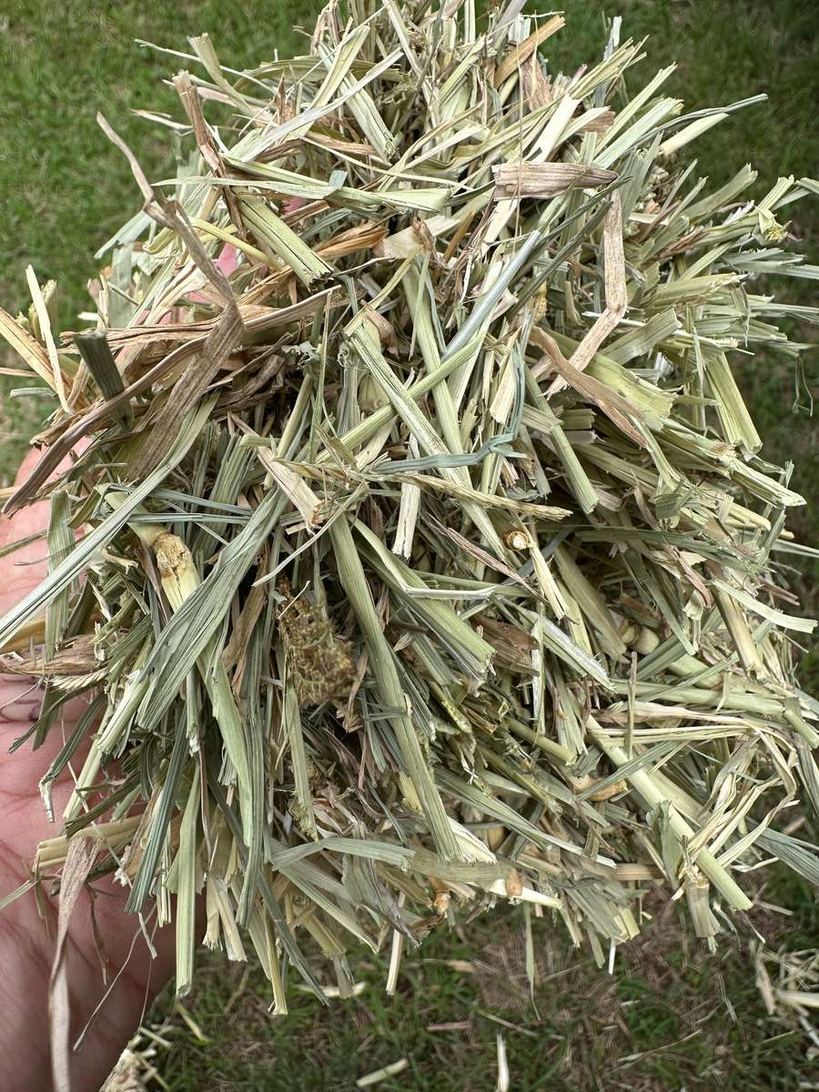 Batch 4990788000217684001 Image