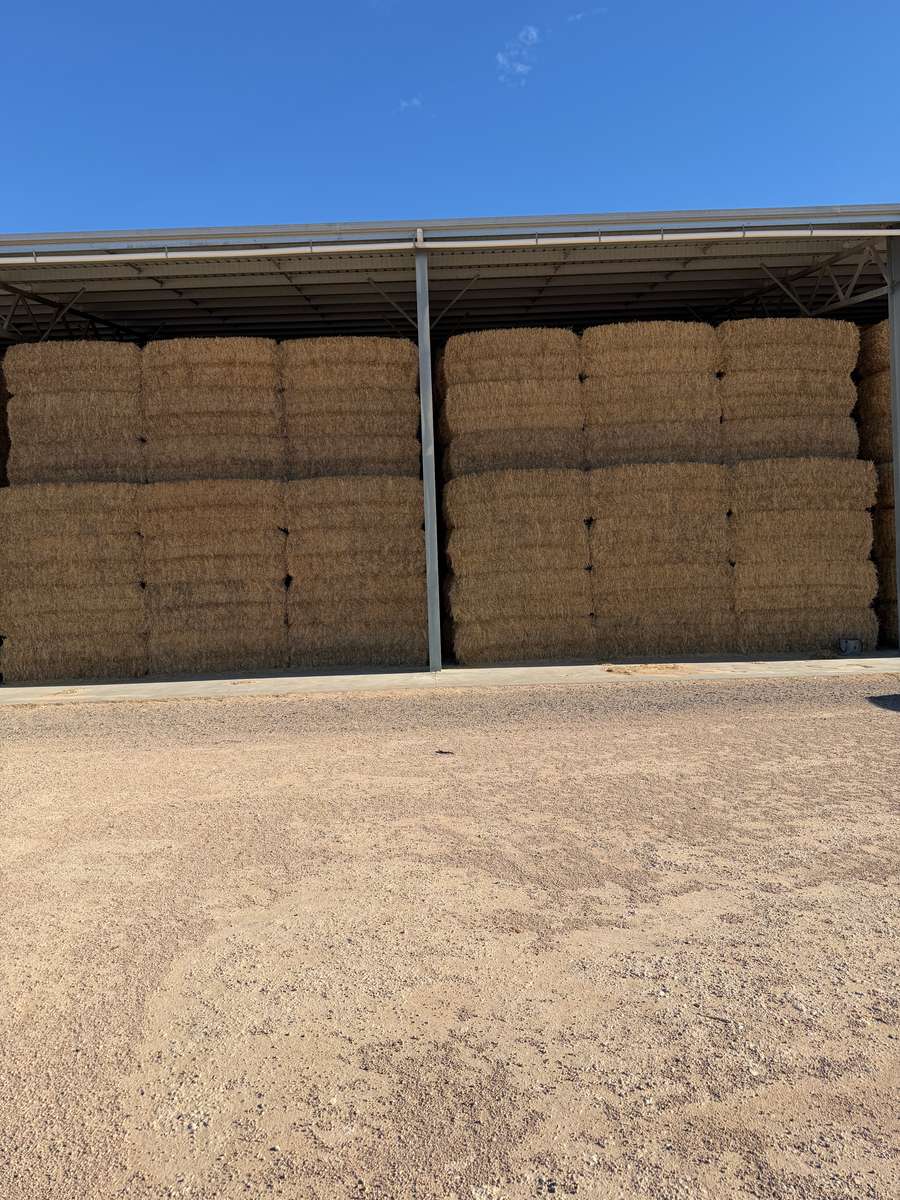 Batch 4990788000215654001 Image