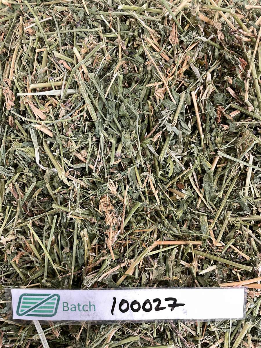 Batch 4990788000217698007 Image