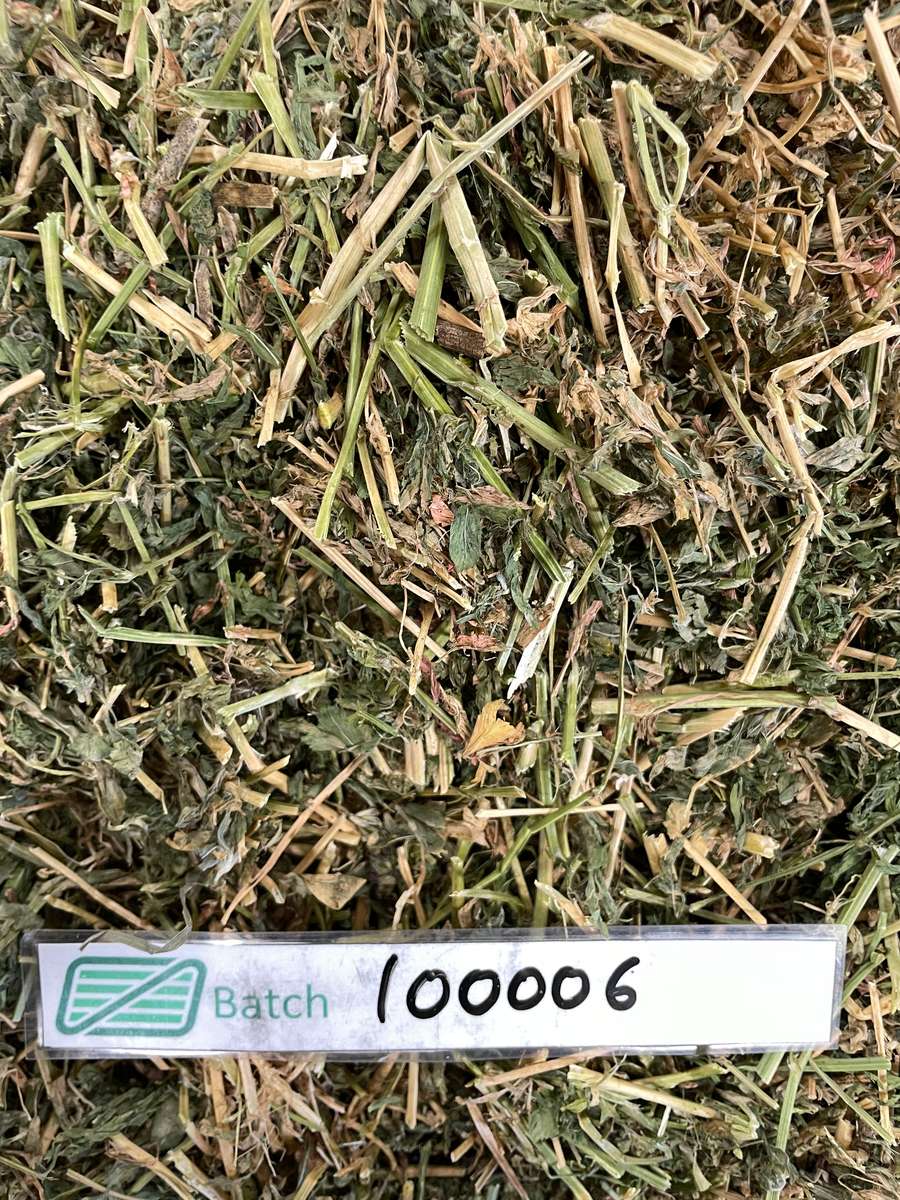 Batch 4990788000216019001 Image