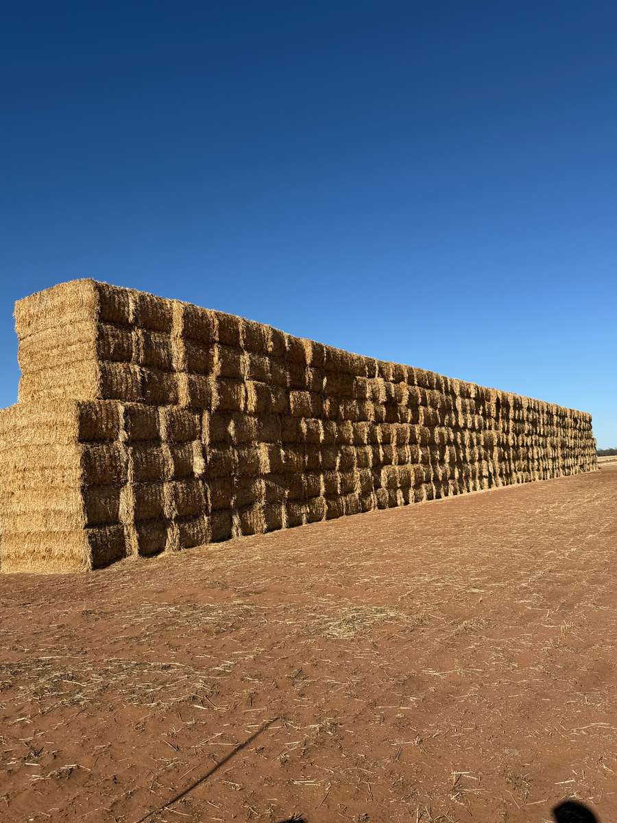 Batch 4990788000215460001 Image