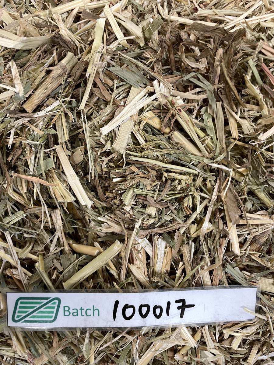 Batch 4990788000216898001 Image