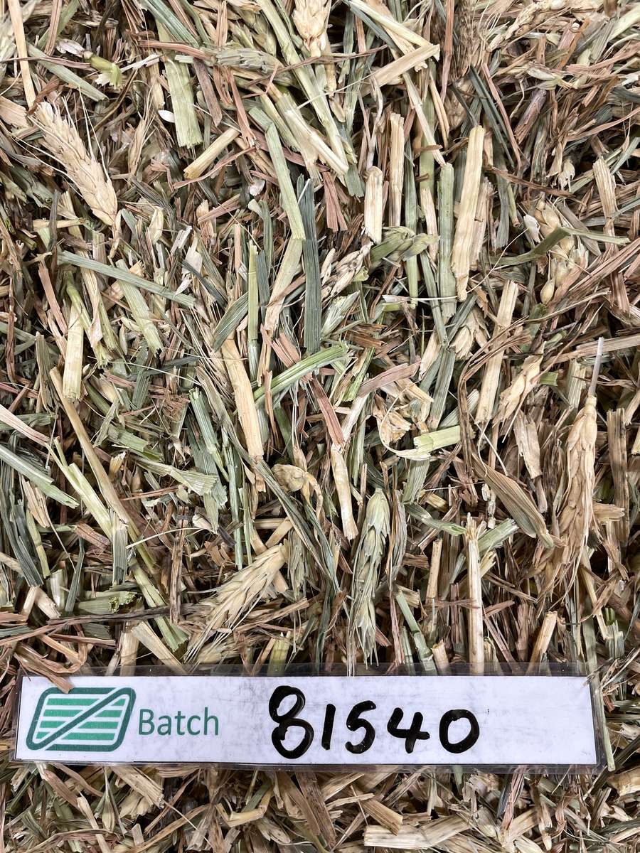 Batch 4990788000215675001 Image