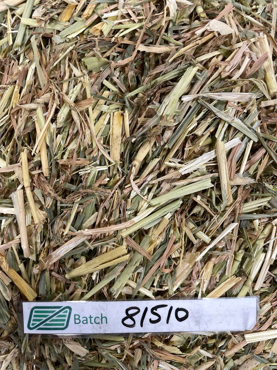 Batch 4990788000215258001 Image