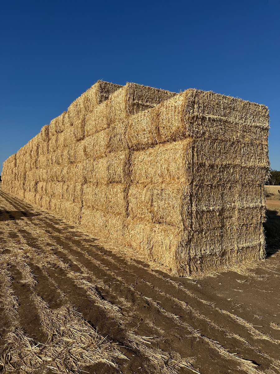 Batch 4990788000212522003 Image