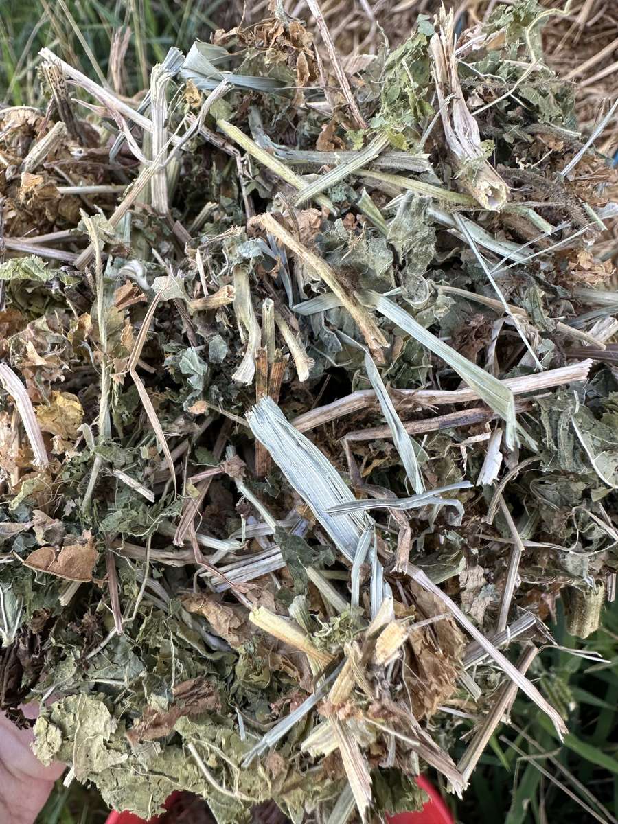 Batch 4990788000216902001 Image