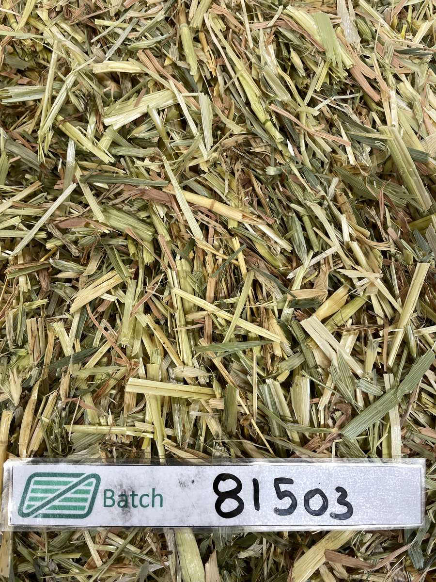 Batch 4990788000215143033 Image