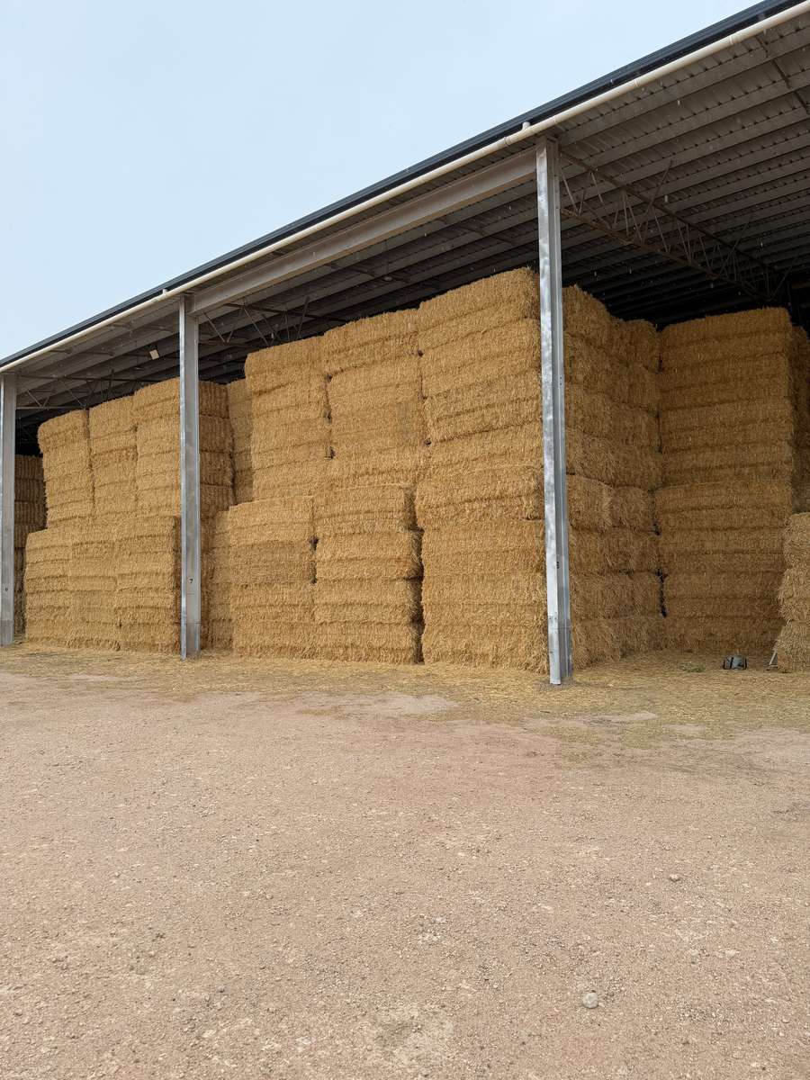 Batch 4990788000215143033 Image