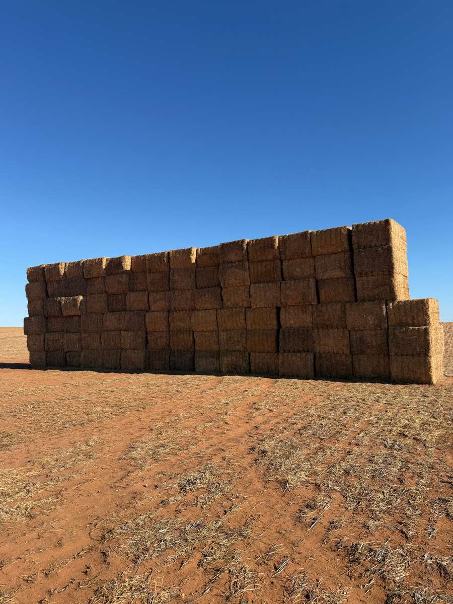 Batch 4990788000215057061 Image