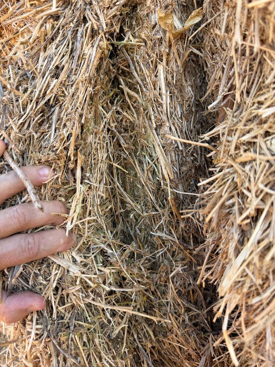 Batch 4990788000215057061 Image