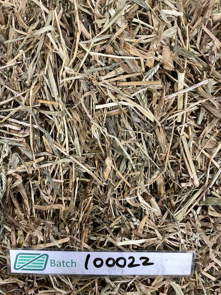 Batch 4990788000217633001 Image