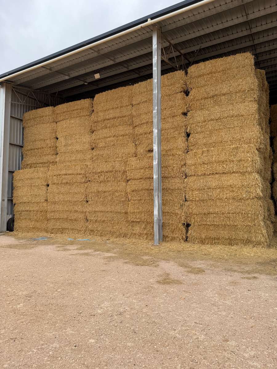 Batch 4990788000215143001 Image