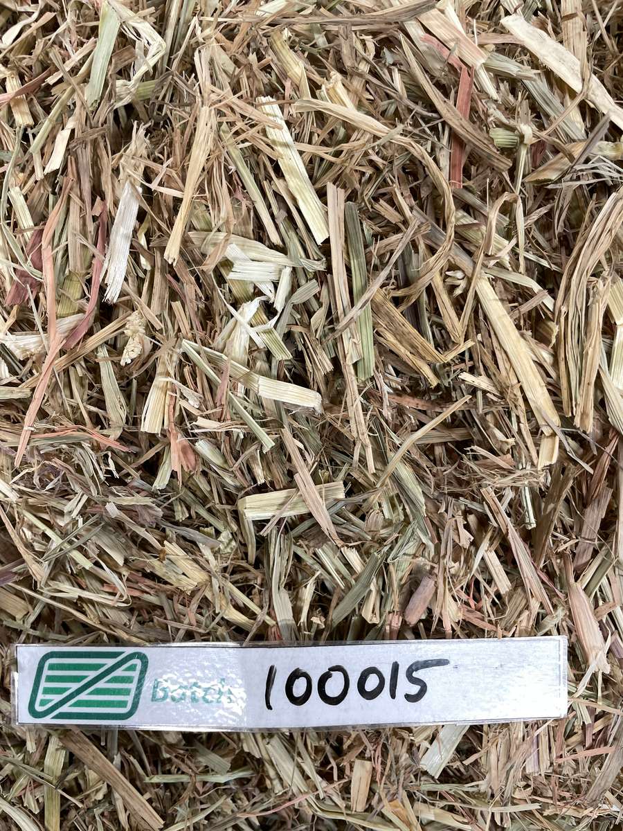 Batch 4990788000216889001 Image