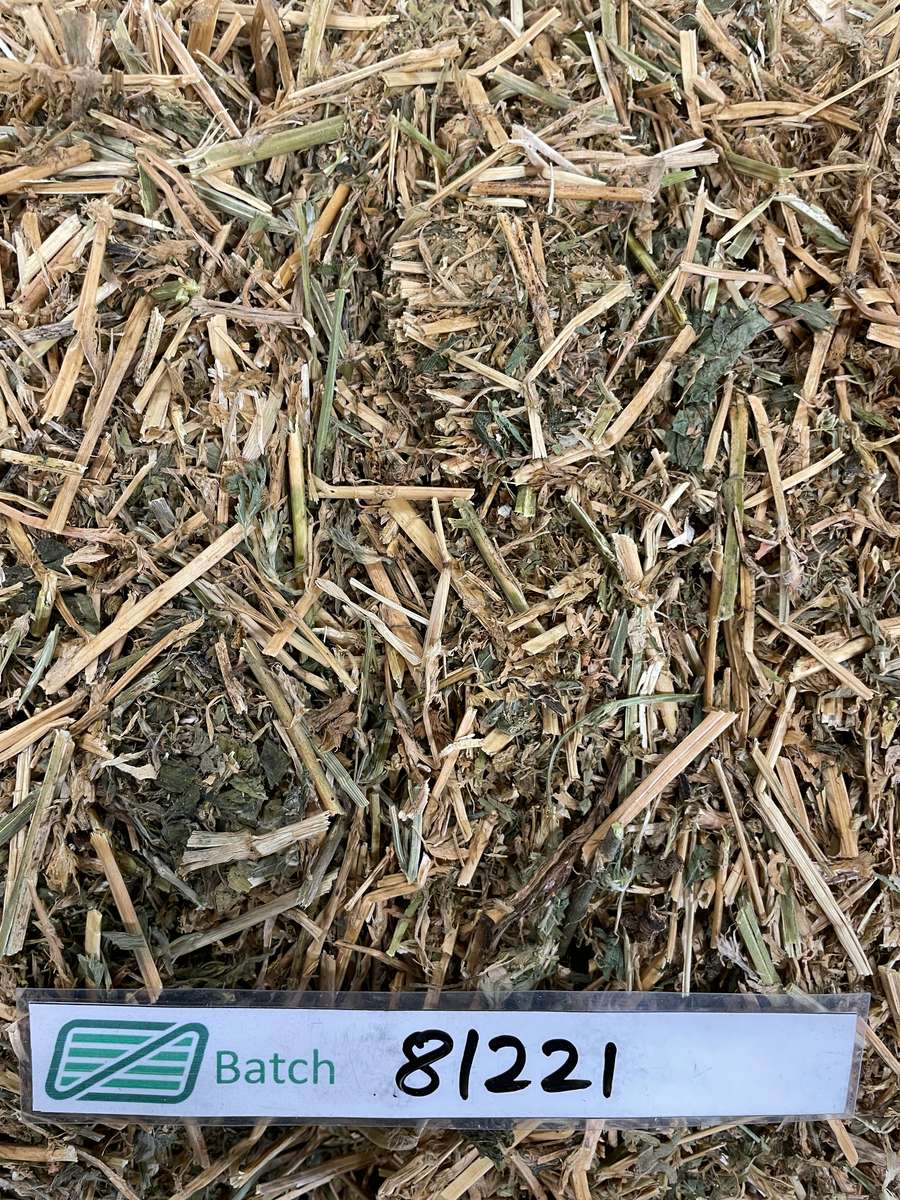 Batch 4990788000207369485 Image