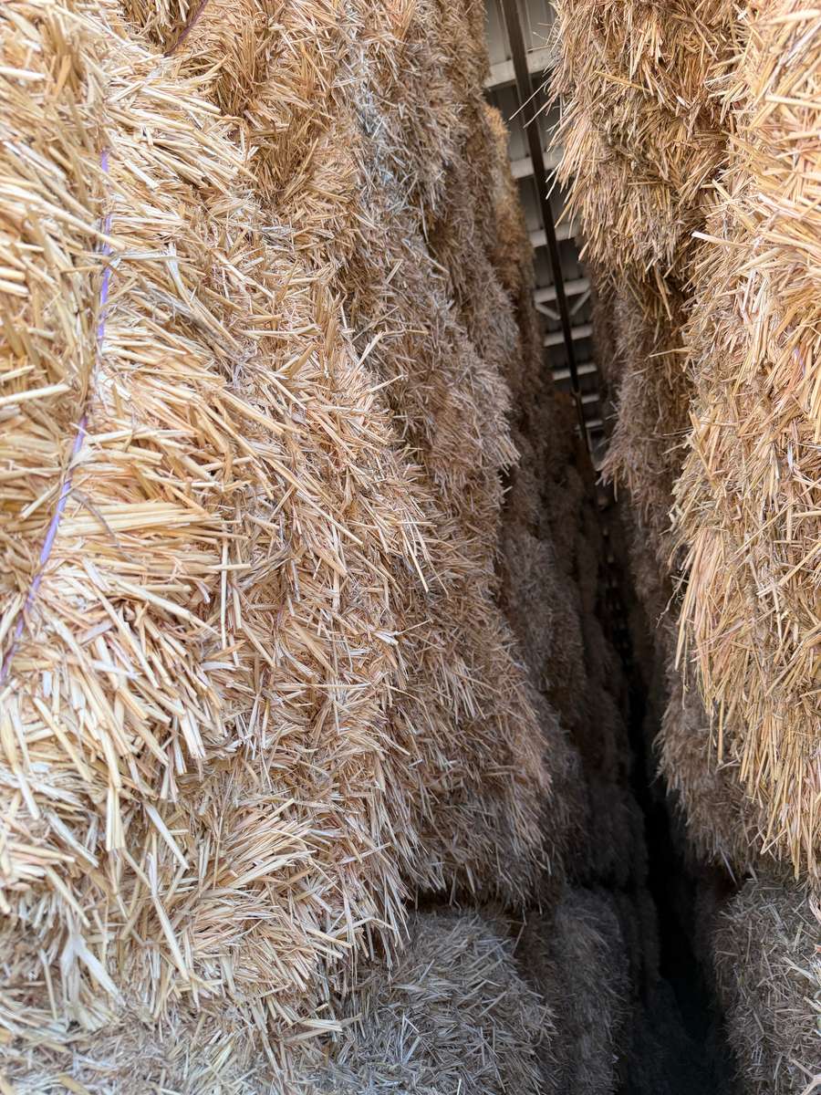 Batch 4990788000215648001 Image